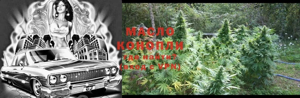 скорость Вяземский