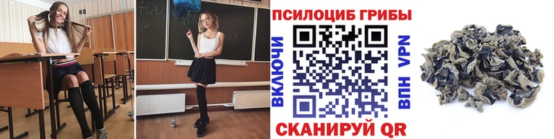 Галлюциногенные грибы MAGIC MUSHROOMS нарко площадка клад Балаково купить закладку